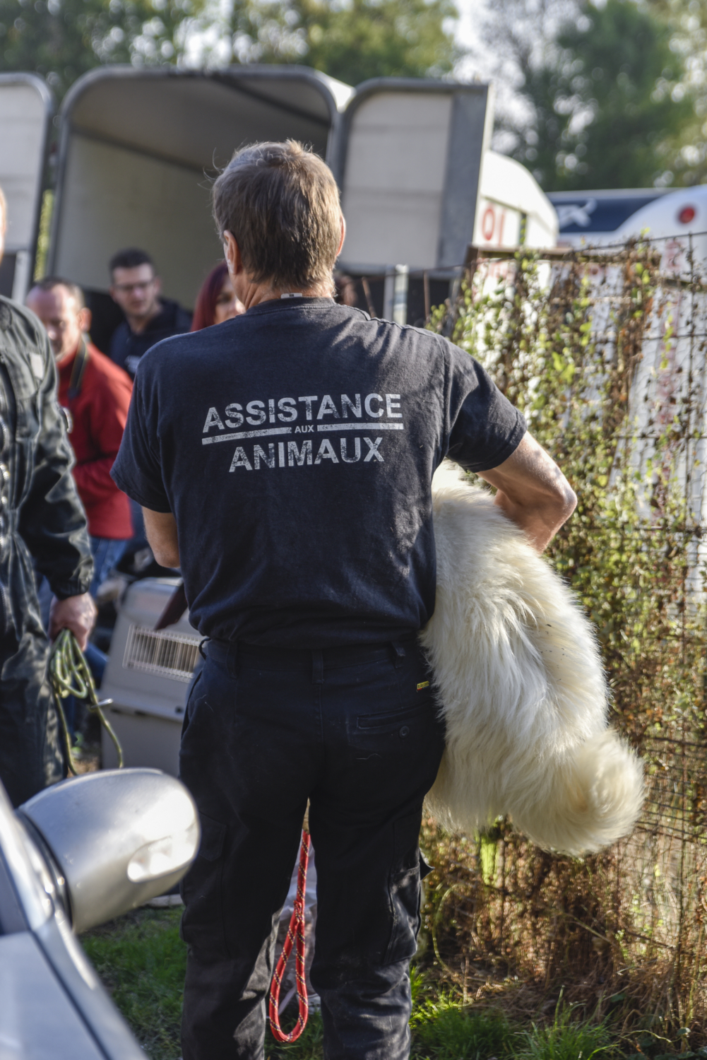 Saisie Des 121 Chiens Et Chiots Reportage Fondation Assistance Aux