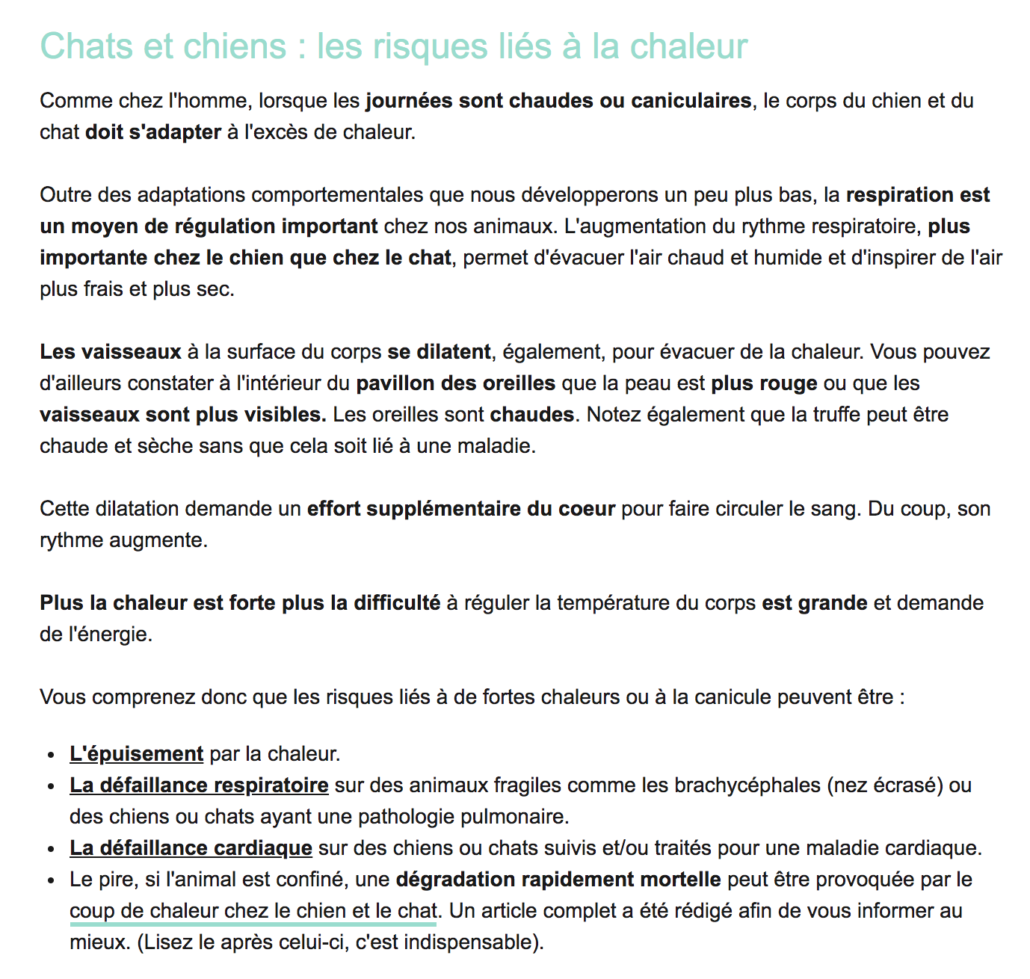 Canicule Attention A Vos Animaux Fondation Assistance Aux Animaux Actualites