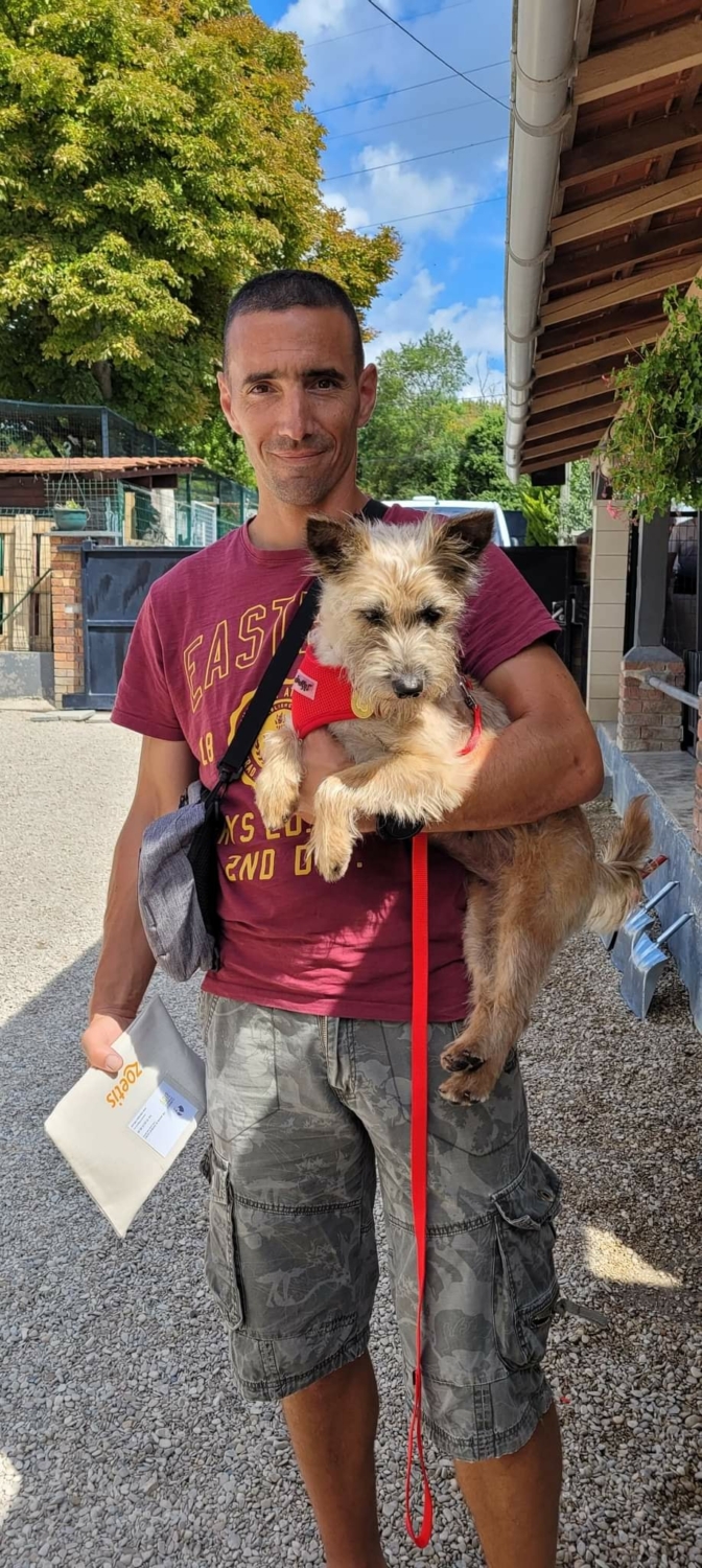 De Nouvelles Adoptions Au Refuge De Villevaudé Fondation Assistance Aux Animaux Actualités 2277